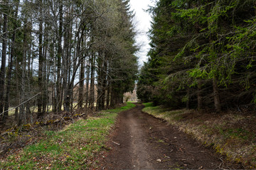 chemin forestier