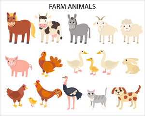 Cartoon farm animals in flat style isolated on white background. Horse and cow, donkey and sheep, pig and turkey, goose and rabbit, hen and cock, ostrich and cat, dog and goat. Vector illustration.