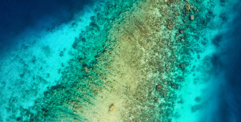 Panoramic view on the coral reef. Azure water background from top view. Summer seascape from air. Travel - image