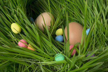 Closeup of colorful eggs in the green grass.Easter holiday and traditional fun games