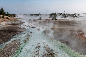 geyser yellowstone 