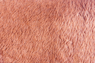The texture of the woolen fabric is brown.