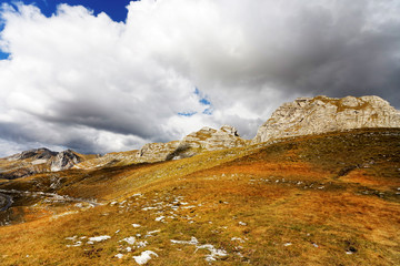 the beauty of nature. Landscape 