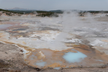 geyser yellowstone 
