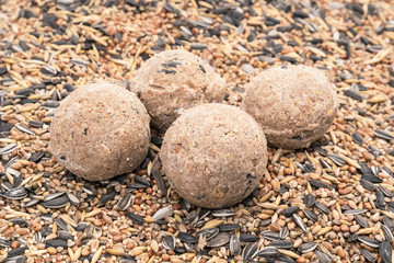 Four bird fat balls on a background of mixed bird seeds seen from high angle