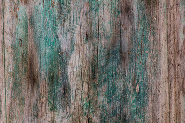 green wood texture, wood texture traces of old paint, old green paint on wooden boards, retro background aged wood surface
