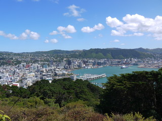 Fototapeta na wymiar New Zealand, Wellington