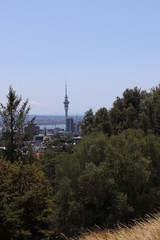 Sky Tower Auckland