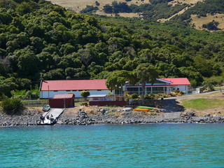 Fototapeta na wymiar New Zealand, Akaroa