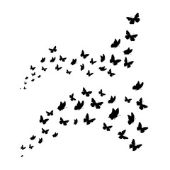 Set of vector silhouette of butterflies on white background. Symbol of nature and insect.