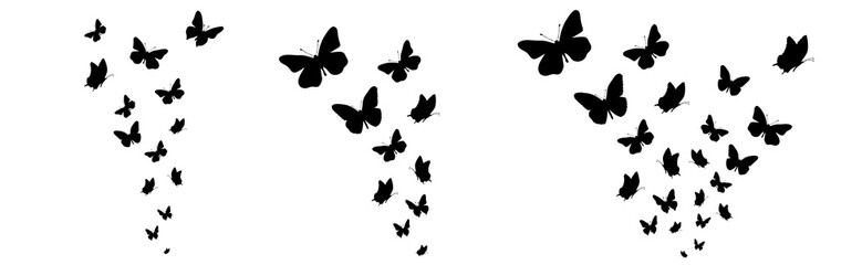 Set of vector silhouette of butterflies on white background. Symbol of nature and insect.
