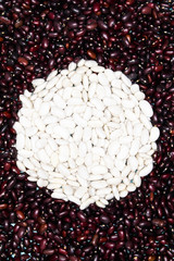 White kidney bean framed by red one in shape of circle