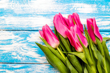 Bouquet of pink tulips on blue wooden background.