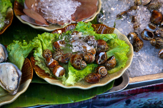 snails prepared as food
