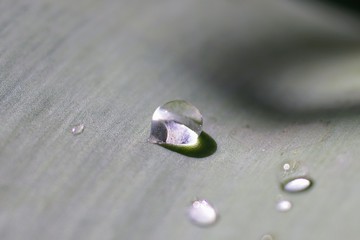 Macro of water droplets on a leaf