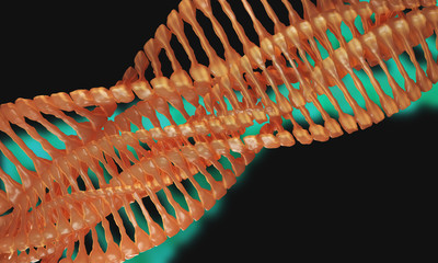 Digital scifi 3d model of DNA structure,3d Rendering 