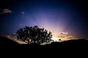 Teneriffa