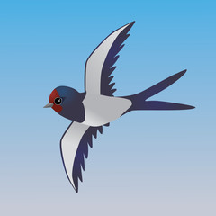  An illustration of a flying cute barn swallow