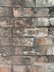 Asia China Macau Street Mosaic Macao Ruins of St. Paul Pattern Texture Background Stock Photo Basic Earth Neutral Colors