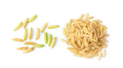 organic paddy rice top view of thai jasmine. top view