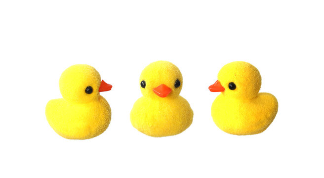 Collection of yellow doll duck isolated on white background