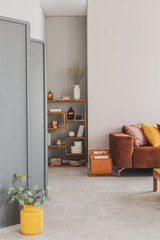 Fashionable wooden bookshelf with flowers and accessories in the corner of grey living room interior