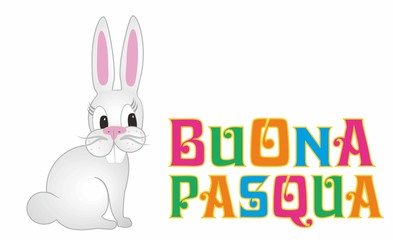 Vector illustration, Rabbit with italian text Buona Pasqua, means Happy Easter.