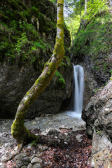 sokolia dolina © Andrej Macko