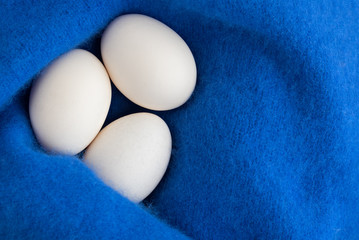 White eggs in blue Angora wool knit. Easter decorative composition