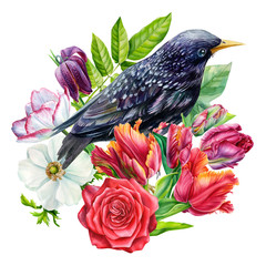 Birds and flowers. Isolated white background. Hand drawn, watercolor.