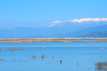  Mount Olympus  Greece  , we see it from Lake Karla, a wonderful ecological site from the mountain of the gods
