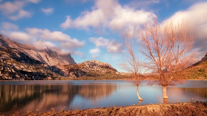 Puig Major and Cuber reservoir with trees in the water, sunny day with blue skies and white clouds, Tramuntana, Mallorca, Spain.