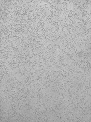 Texture of the grey plaster bark beetle on the wall. Seamless texture.