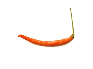 red hot pepper isolated on white background