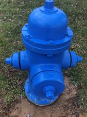 Fototapeta na wymiar Blue Fire Hydrant In The Grass