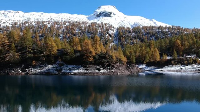 Drone over a beautiful lake with snow-copped mountains and pines - Alpe Devero Italy