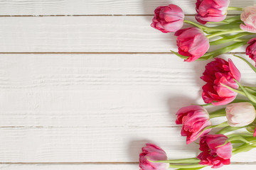Naklejka na ściany i meble red tulips on white wooden background