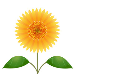 大輪の向日葵のイラスト