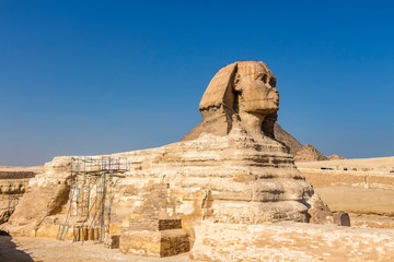 Fototapeta na wymiar The Great Sphinx of Giza undergoing restoration