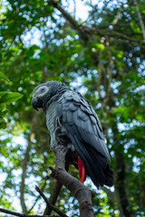 Bird Sanctuary - Crags, Plettenberg Bay