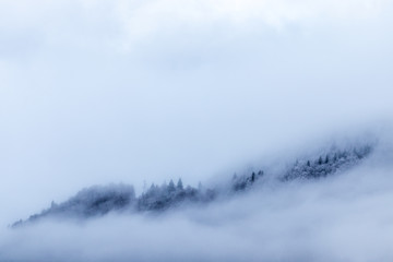 View of the forest and the mountains in the mist in winter - Morzine Valley, France - obrazy, fototapety, plakaty