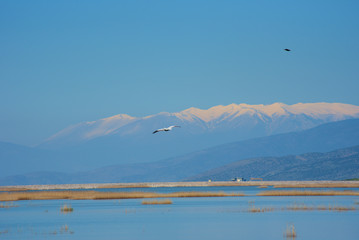  Mount Olympus  Greece  , we see it from Lake Karla, a wonderful ecological site from the mountain of the gods