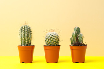 Cactussen in potten op gele tafel, ruimte voor tekst