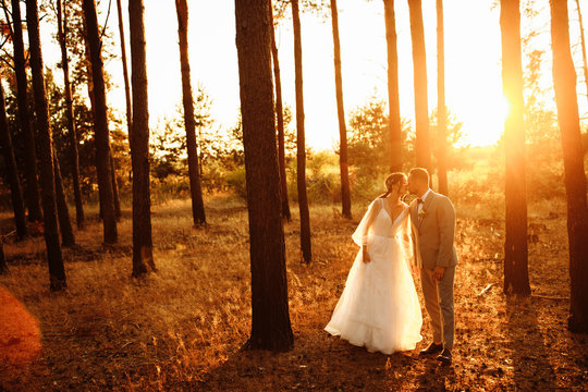 Perfect wedding couple walking in the forest at evening 