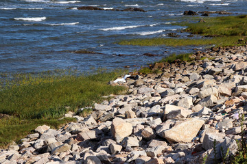 The beauty of the sea of ​​Montevideo in Uruguay.