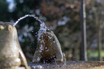fuente de piedra en la que dos ranas juegan a echarse agua