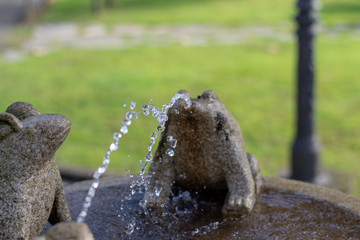 ranan de ppiedra escupiendo agua como si fuera una fuene en coruña