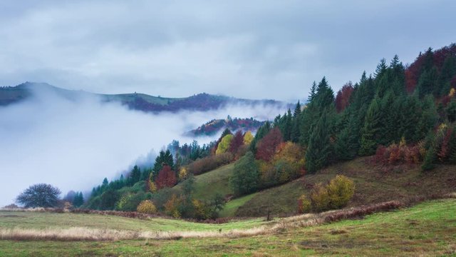 Foggy sunrise time lapse