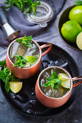Classic Moscow mule cocktail with lime, mint and ice
