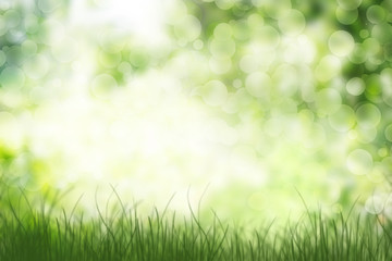 Abstract blurred green bokeh with grass with  patch of light. Nature bokeh background.